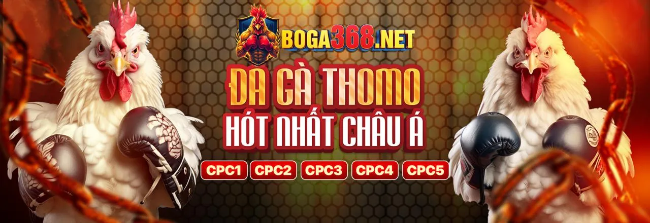 Đá Gà Trực Tuyến Hấp Dẫn tại 98win62
